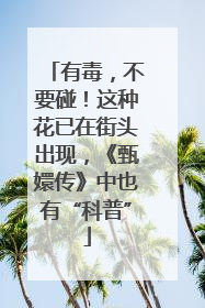 有毒，不要碰！这种花已在街头出现，《甄嬛传》中也有“科普”