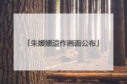 朱媛媛遗作画面公布