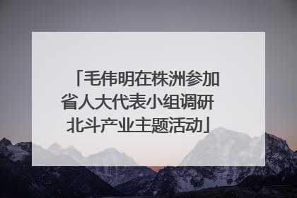 毛伟明在株洲参加省人大代表小组调研北斗产业主题活动