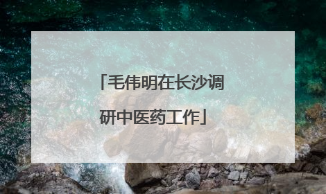 毛伟明在长沙调研中医药工作