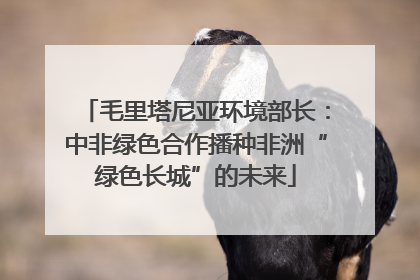 毛里塔尼亚环境部长：中非绿色合作播种非洲“绿色长城”的未来