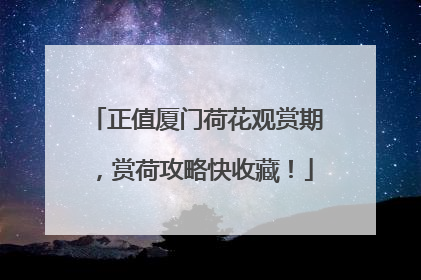 正值厦门荷花观赏期，赏荷攻略快收藏！