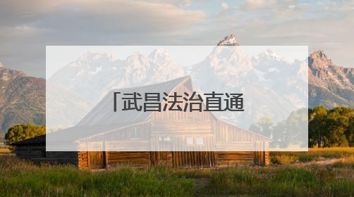 武昌法治直通车驶入街头巷尾 立体化普法护航美好生活