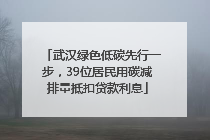 武汉绿色低碳先行一步，39位居民用碳减排量抵扣贷款利息