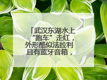 武汉东湖水上“跑车”走红，外形酷似法拉利且有蓝牙音箱，负责人：高峰期一两百人排队