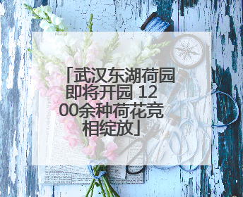 武汉东湖荷园即将开园 1200余种荷花竞相绽放