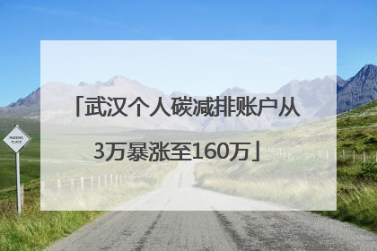 武汉个人碳减排账户从3万暴涨至160万