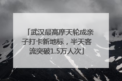 武汉最高摩天轮成亲子打卡新地标，半天客流突破1.5万人次