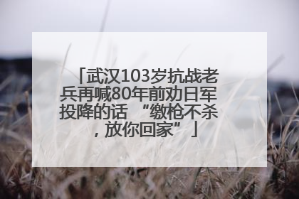 武汉103岁抗战老兵再喊80年前劝日军投降的话 “缴枪不杀，放你回家”