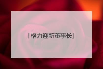 格力迎新董事长