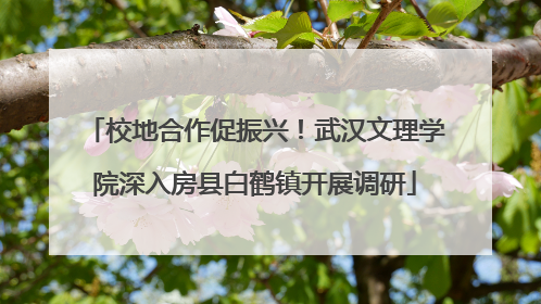 校地合作促振兴！武汉文理学院深入房县白鹤镇开展调研