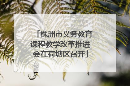 株洲市义务教育课程教学改革推进会在荷塘区召开