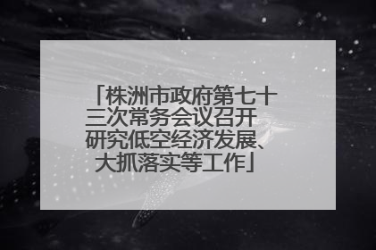 株洲市政府第七十三次常务会议召开 研究低空经济发展、大抓落实等工作