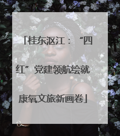 桂东沤江：“四红”党建领航绘就康氧文旅新画卷