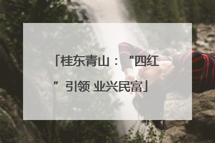 桂东青山：“四红”引领 业兴民富