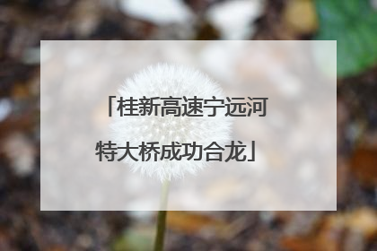 桂新高速宁远河特大桥成功合龙