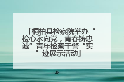 桐柏县检察院举办“检心永向党，青春铸忠诚”青年检察干警“实”迹展示活动