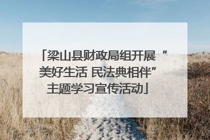 梁山县财政局组开展“美好生活 民法典相伴”主题学习宣传活动