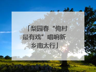 梨园春“俺村最有戏”唱响新乡南太行