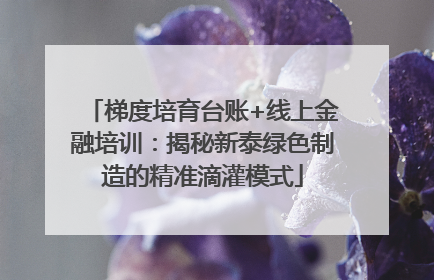 梯度培育台账+线上金融培训：揭秘新泰绿色制造的精准滴灌模式
