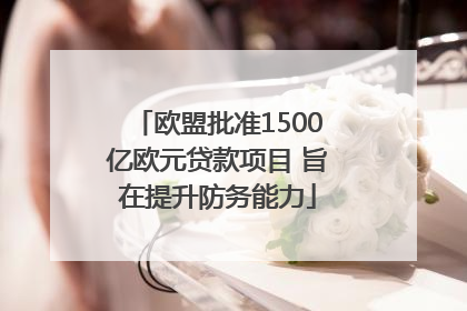 欧盟批准1500亿欧元贷款项目 旨在提升防务能力