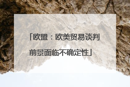 欧盟：欧美贸易谈判前景面临不确定性