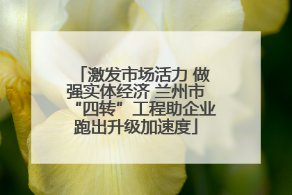 激发市场活力 做强实体经济 兰州市“四转”工程助企业跑出升级加速度