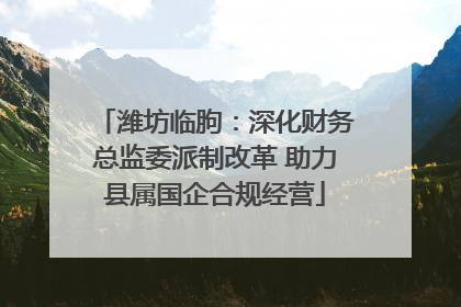 潍坊临朐：深化财务总监委派制改革 助力县属国企合规经营
