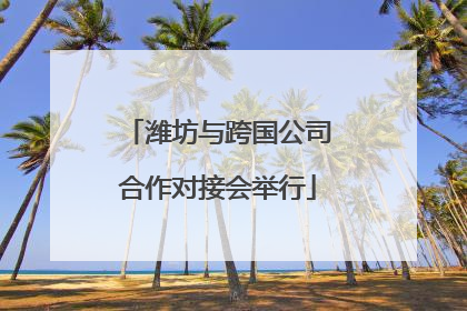 潍坊与跨国公司合作对接会举行