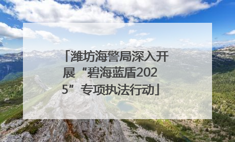 潍坊海警局深入开展“碧海蓝盾2025”专项执法行动