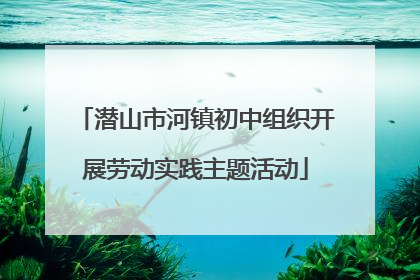 潜山市河镇初中组织开展劳动实践主题活动