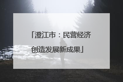 澄江市：民营经济创造发展新成果