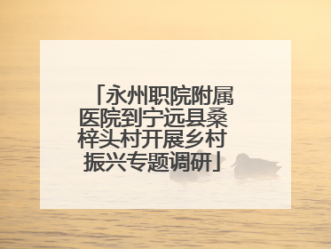 永州职院附属医院到宁远县桑梓头村开展乡村振兴专题调研
