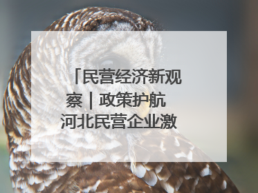 民营经济新观察｜政策护航 河北民营企业激发新“冀”遇