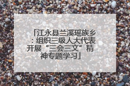 江永县兰溪瑶族乡：组织三级人大代表开展“三会三文”精神专题学习