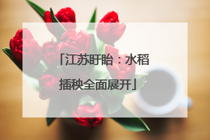 江苏盱眙：水稻插秧全面展开