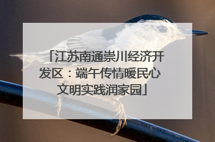 江苏南通崇川经济开发区：端午传情暖民心 文明实践润家园