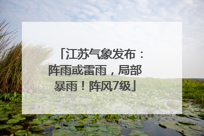 江苏气象发布：阵雨或雷雨，局部暴雨！阵风7级