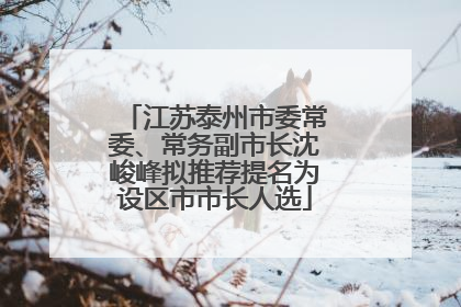江苏泰州市委常委、常务副市长沈峻峰拟推荐提名为设区市市长人选