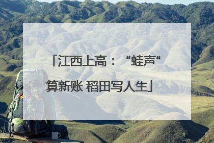 江西上高：“蛙声”算新账 稻田写人生