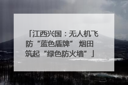 江西兴国：无人机飞防“蓝色盾牌” 烟田筑起“绿色防火墙”