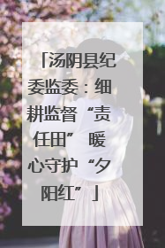 汤阴县纪委监委：细耕监督“责任田” 暖心守护“夕阳红”