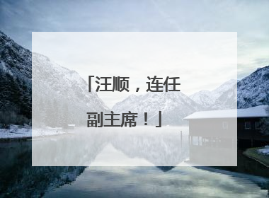 汪顺，连任副主席！