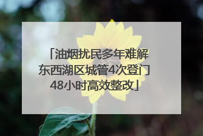 油烟扰民多年难解 东西湖区城管4次登门48小时高效整改