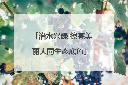 治水兴绿 擦亮美丽大同生态底色
