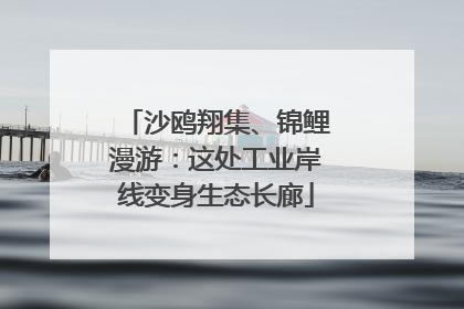 沙鸥翔集、锦鲤漫游：这处工业岸线变身生态长廊
