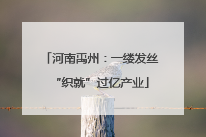 河南禹州：一缕发丝“织就”过亿产业