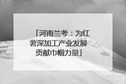河南兰考：为红薯深加工产业发展贡献巾帼力量