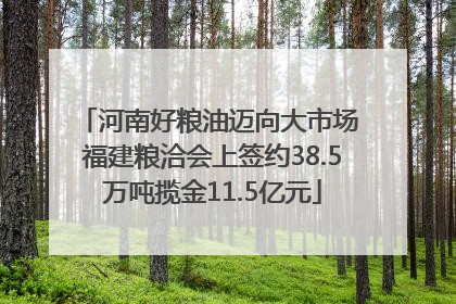 河南好粮油迈向大市场 福建粮洽会上签约38.5万吨揽金11.5亿元