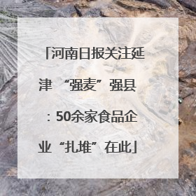 河南日报关注延津 “强麦”强县：50余家食品企业“扎堆”在此